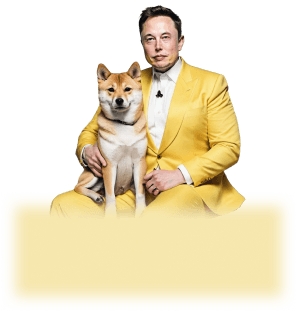 hero Card Img One